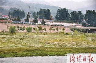 汝阳县城爆料事件最新情况,真相逐步浮出水面