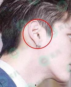 鹿鼻明星,探寻自然与艺术的完美融合