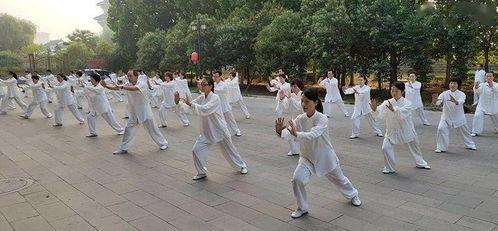 今日太极拳热点爆料最新,揭秘今日热点爆料背后的传奇故事