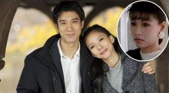 我的绝美大明星老婆全,璀璨星途背后的柔情岁月