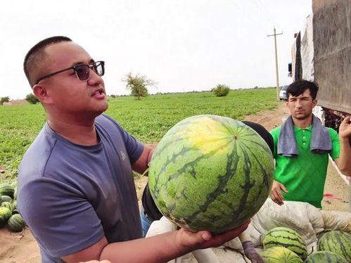 吃瓜泄愤,揭秘网络舆论场的狂欢与反思