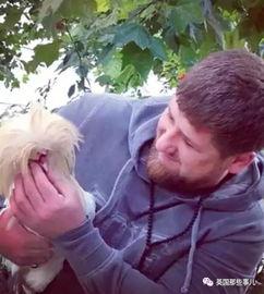 网红抱他,揭秘背后的感人故事