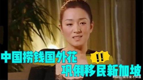 明星谈国籍,身份认同与文化交流的碰撞