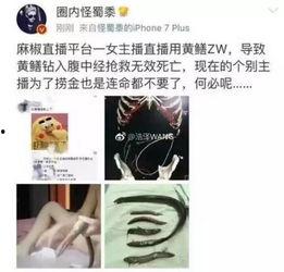 网红与黄鳝的视频,揭秘网络直播背后的伦理争议