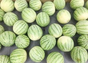 我想静静吃瓜,品味生活百态