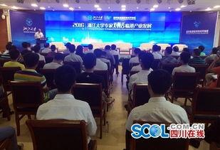 宜宾临港区今天新闻头条,聚焦绿色发展，打造区域经济新引擎