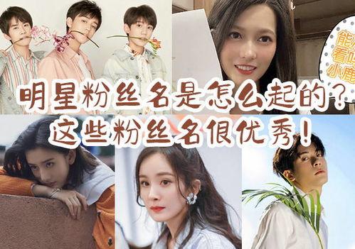 明星的粉丝名字,揭秘明星与粉丝名字背后的故事