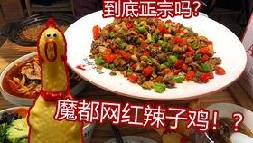 美食vlog网红例子,揭秘他们的美食制作与传播之道