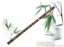 如何看竹笛竹子料老不老