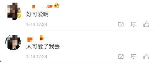 吃瓜小黄脸特效,趣味横生的视觉盛宴