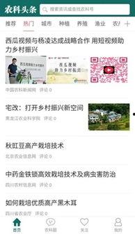 头条关注的都是个人号吗,头条关注背后的个性化秘密”