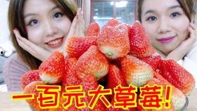 草莓视频100在线观看,精彩瞬间，一键在线观看