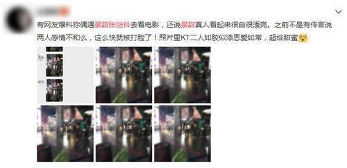 张继科去年爆料视频,去年爆料视频背后的真相与感悟