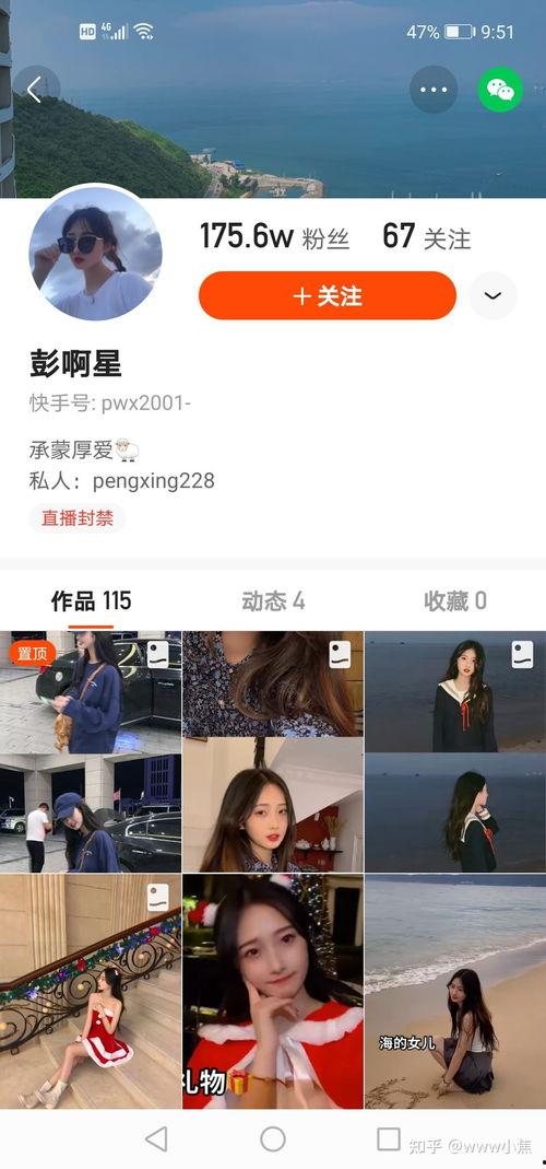 快手怎么看谁是网红,如何一眼识别网红达人