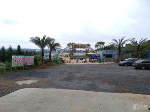 新塘村头条,探寻乡村发展新路径，共筑美好家园新篇章