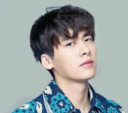 新瓜最新爆料李易峰视频,揭秘明星私生活背后的真相